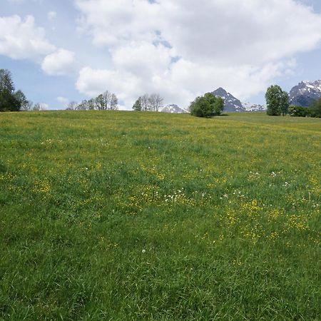 Pension & Appartements Anny Maria Alm am Steinernen Meer Exterior foto