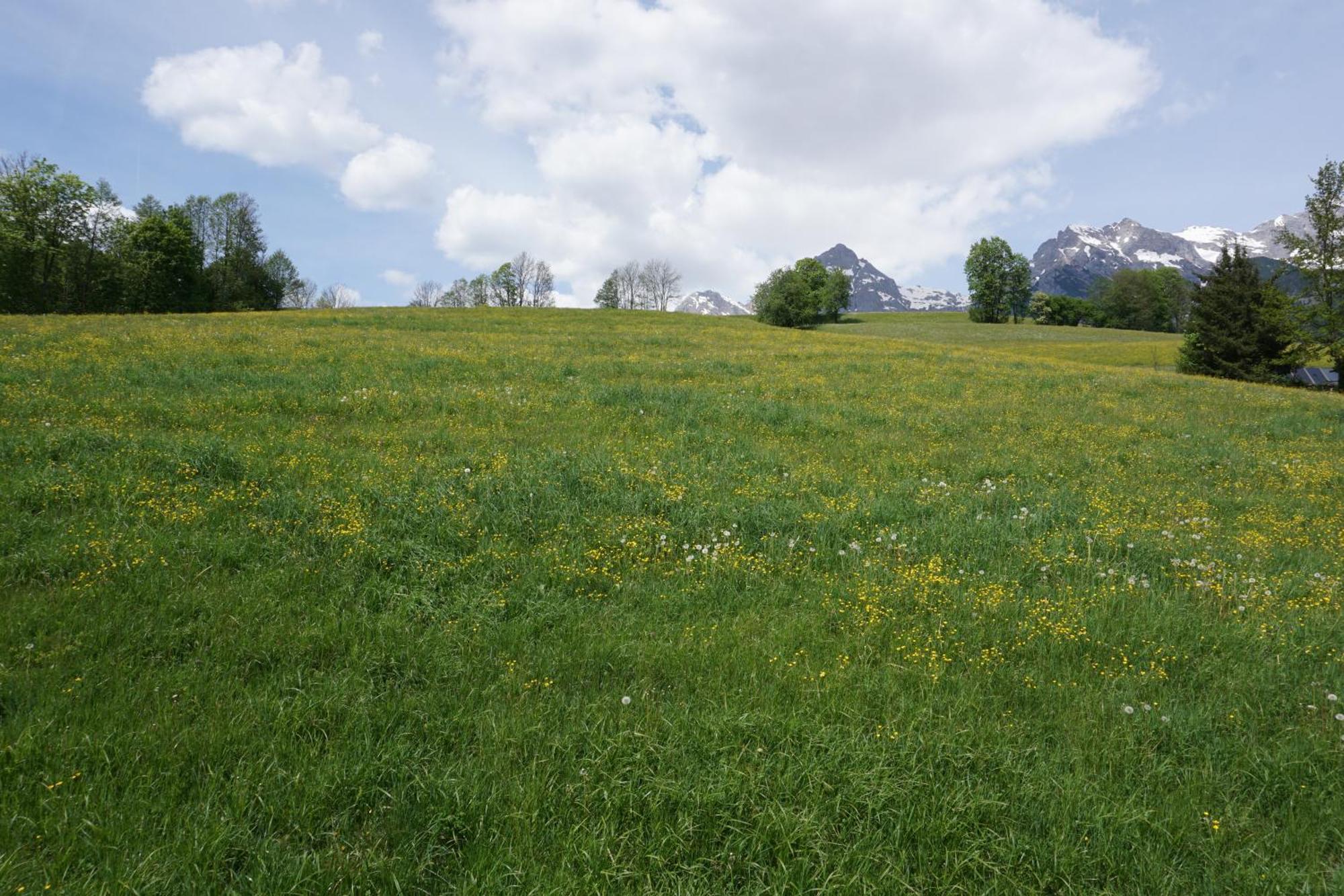 Pension & Appartements Anny Maria Alm am Steinernen Meer Exterior foto