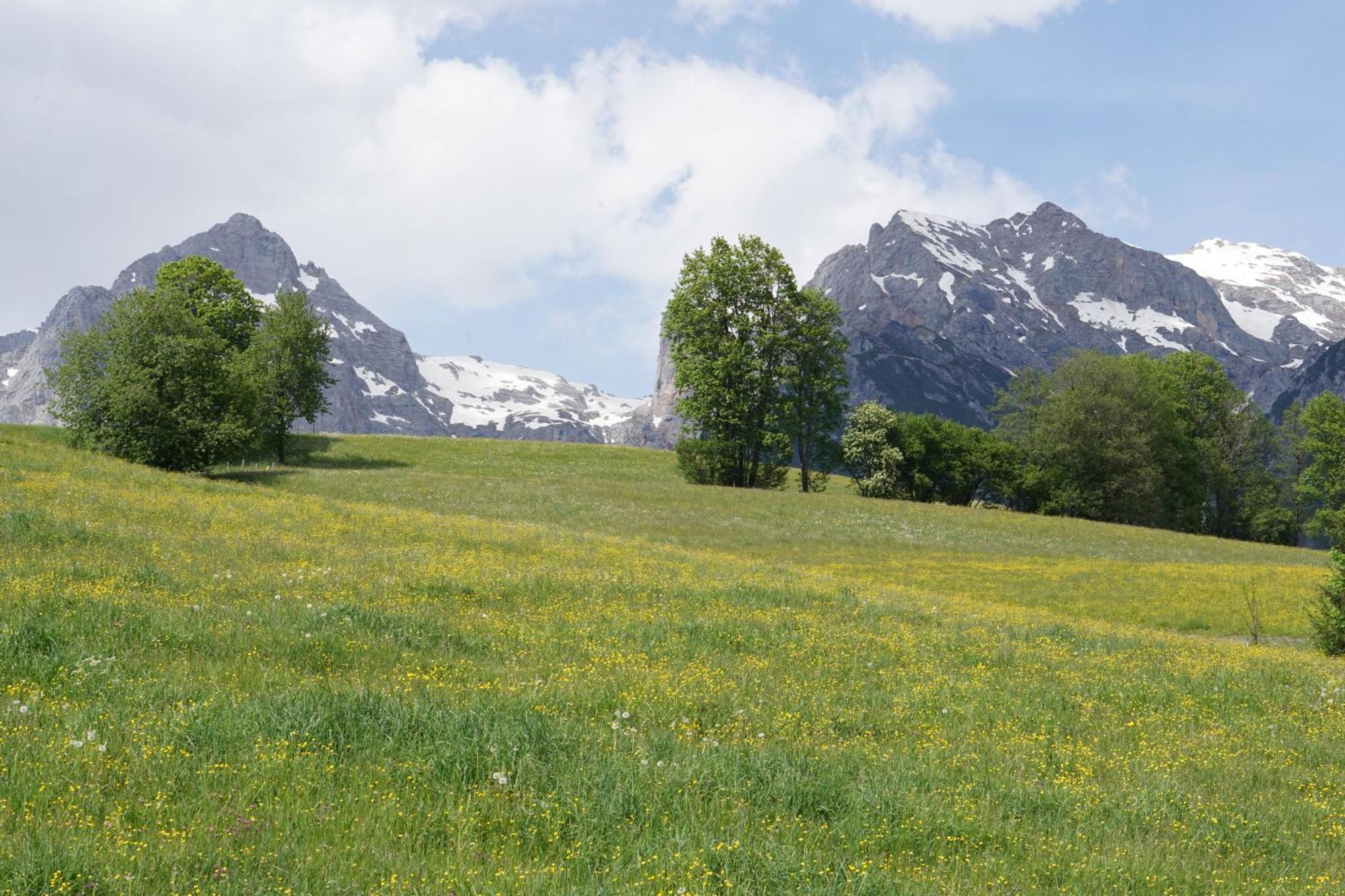 Pension & Appartements Anny Maria Alm am Steinernen Meer Exterior foto